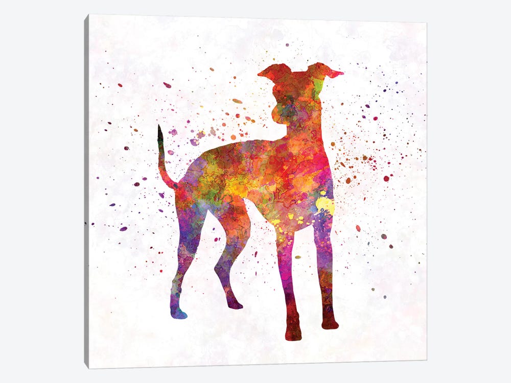 Italian Greyhound In Watercolor by Paul Rommer 1-piece Canvas Art