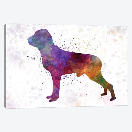 Italian Pointer In Watercolor Canvas Print #PUR379} by Paul Rommer Canvas Wall Art