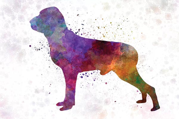 Italian Pointer In Watercolor
