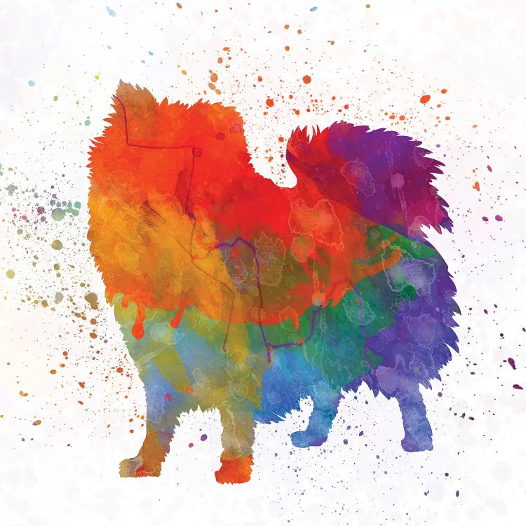 Italian Volpino In Waltecolor by Paul Rommer wall art