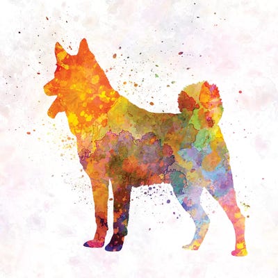 Jamthund In Watercolor by Paul Rommer canvas print