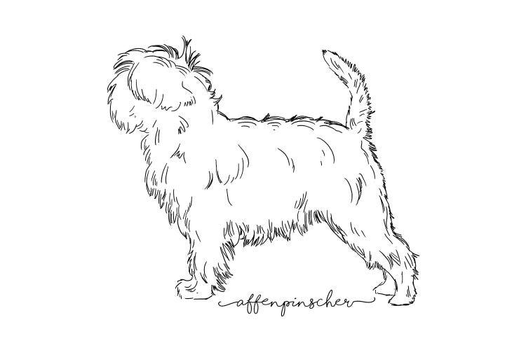 Affenpinscher Sketch Black