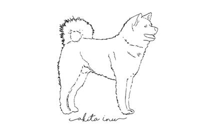 Akita Sketch II by Paul Rommer canvas print