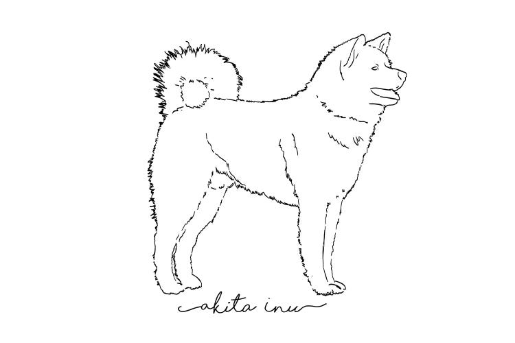 Akita Sketch II by Paul Rommer wall art