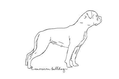 American Bulldog II Sketch by Paul Rommer metal wall art