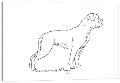 American Bulldog II Sketch Canvas Art Print - American Bulldogs