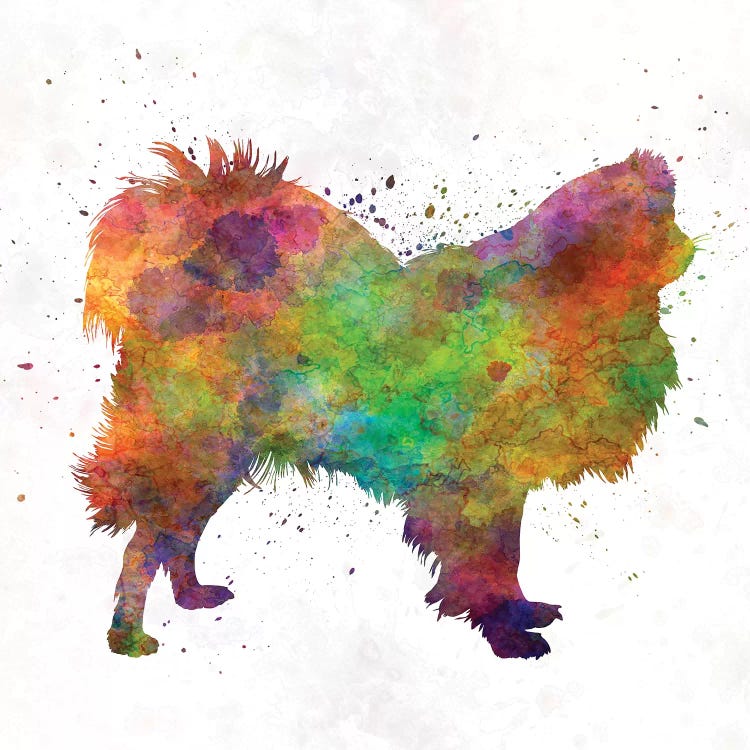 Japanese Chin In Watercolor