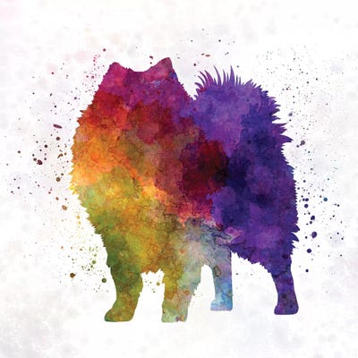 Japanese Spitz In Watercolor by Paul Rommer canvas print