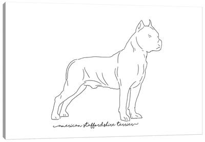 American Staffordshire Terrier Sketch Canvas Art Print - Pit Bull Art