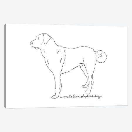 Anatolian Shepherd Dog Sketch Canvas Print #PUR3852} by Paul Rommer Canvas Artwork