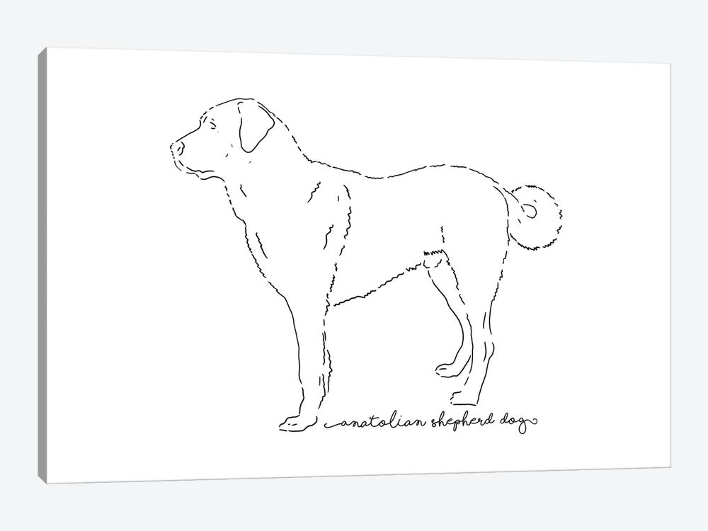 Anatolian Shepherd Dog Sketch by Paul Rommer 1-piece Canvas Artwork
