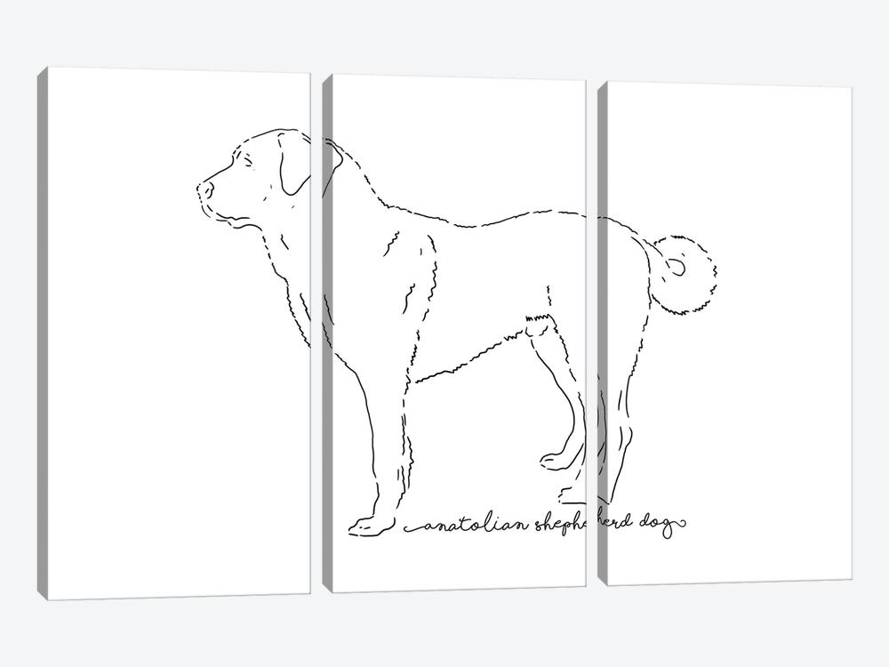 Anatolian Shepherd Dog Sketch by Paul Rommer 3-piece Canvas Artwork