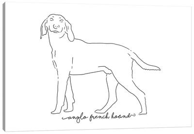 Anglo French Hound Sketch Canvas Art Print