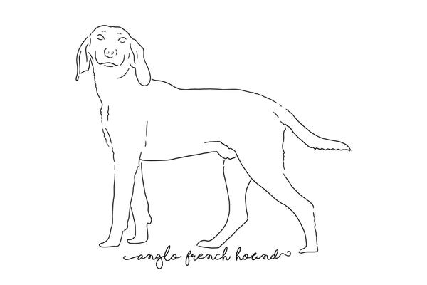 Hounds: Anglo French Hound Sketch by Paul Rommer