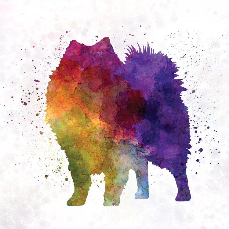 Japanese Spitz In Watercolor by Paul Rommer wall art