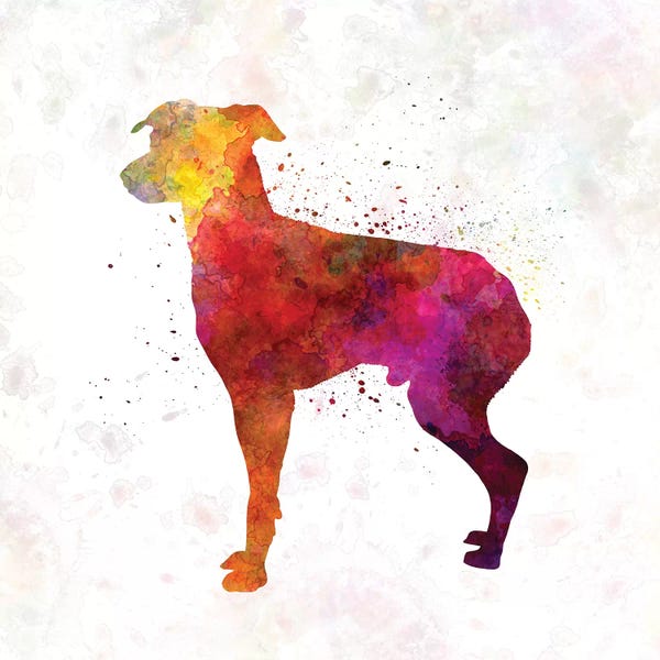 Terriers: Japanese Terrier In Watercolor by Paul Rommer