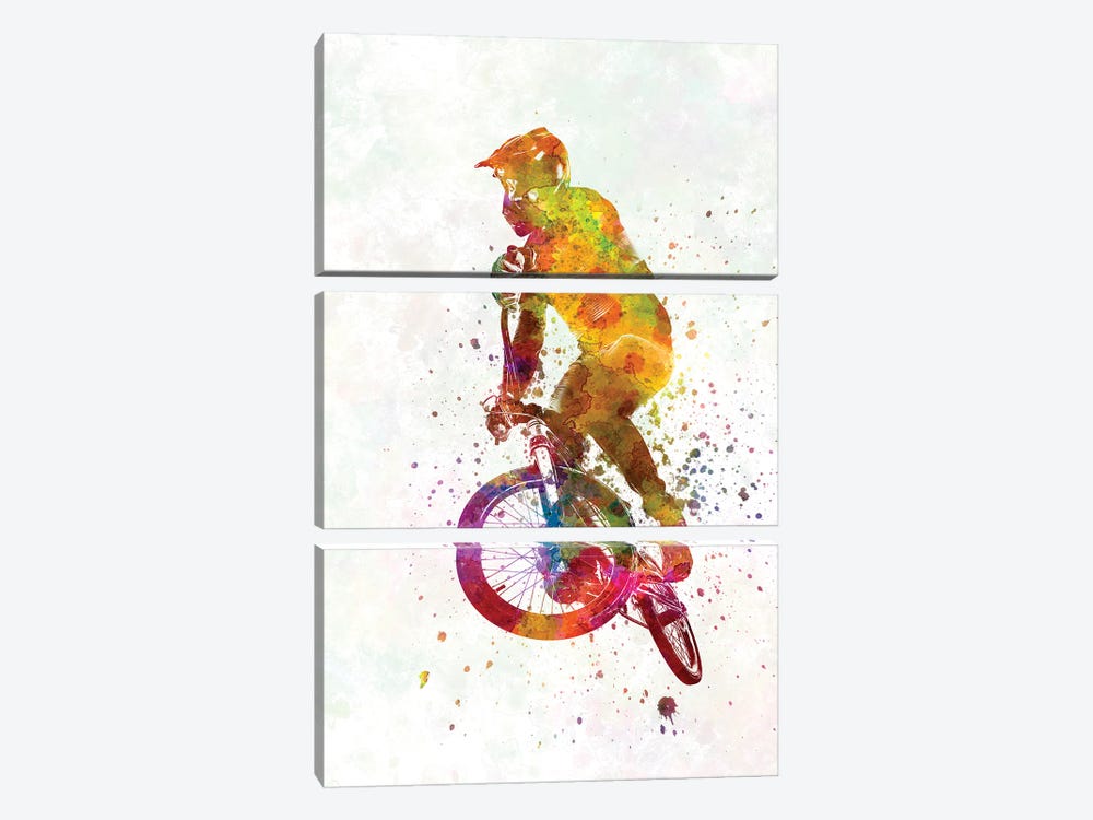 Watercolor BMX Cycling Competition VI by Paul Rommer 3-piece Canvas Wall Art