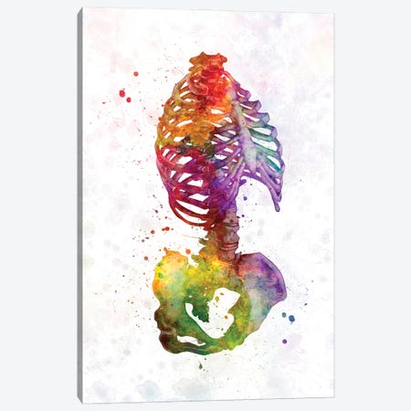 Human Skeleton In Watercolor Canvas Print #PUR3930} by Paul Rommer Canvas Art Print