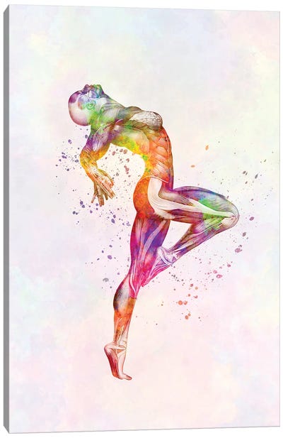 Muscles Of The Human Body Anatomy In Watercolor II Canvas Art Print - Fitness Fanatic