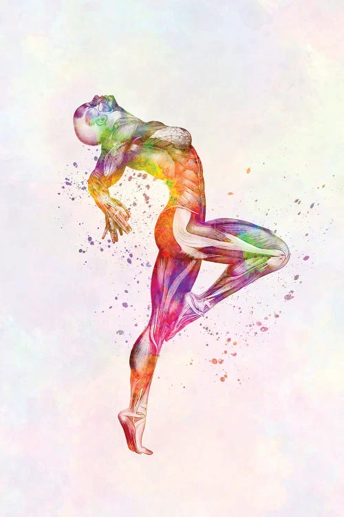Muscles Of The Human Body Anatomy In Watercolor II by Paul Rommer wall art