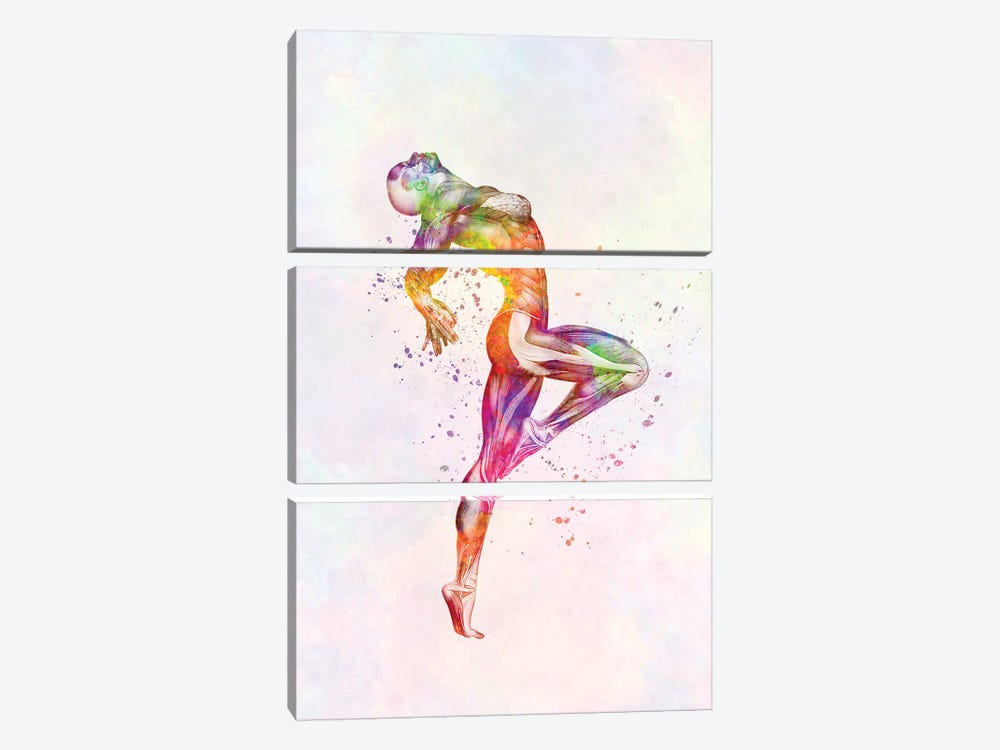 Muscles Of The Human Body Anatomy In Watercolor II by Paul Rommer 3-piece Canvas Art