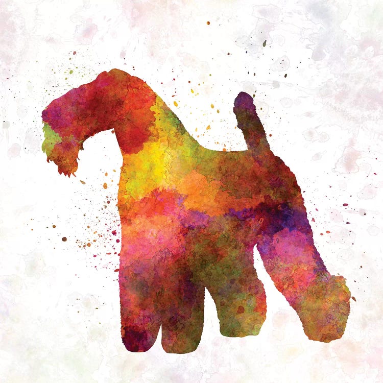 Kerry Blue Terrier In Watercolor by Paul Rommer wall art