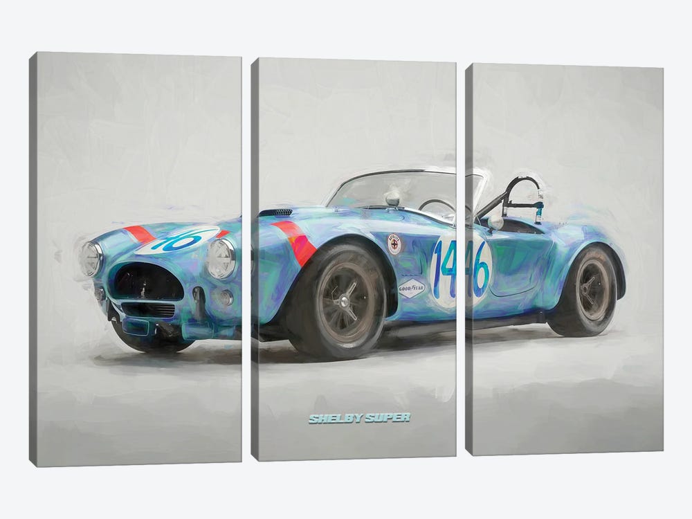 Shelby Super In Watercolor by Paul Rommer 3-piece Canvas Wall Art