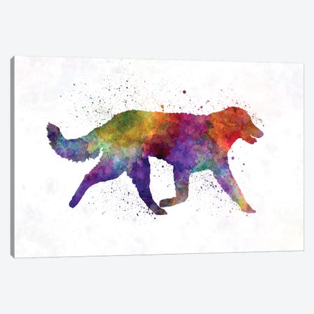 Kuvasz In Watercolor Canvas Print #PUR404} by Paul Rommer Art Print