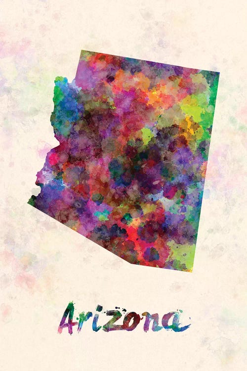 Arizona by Paul Rommer wall art