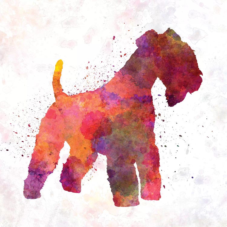 Lakeland Terrier In Watercolor