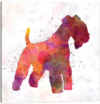 Lakeland Terrier In Watercolor Canvas Art Print