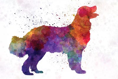 Landseer In Watercolor by Paul Rommer canvas print