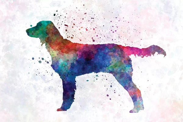 Large Munsterlander In Watercolor