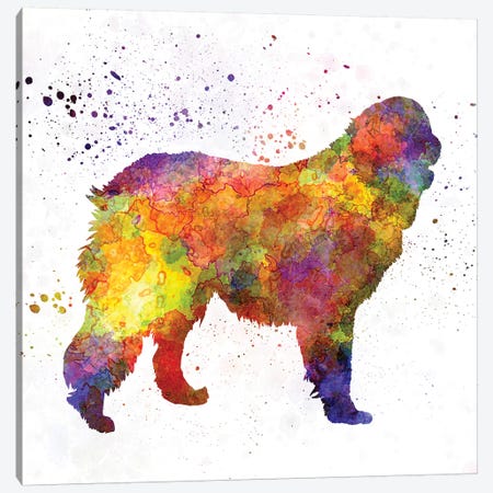 Leonberger In Watercolor Canvas Print #PUR420} by Paul Rommer Canvas Wall Art