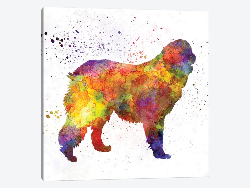 Leonberger In Watercolor by Paul Rommer 1-piece Canvas Artwork