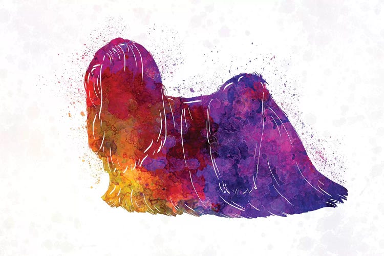 Lhasa Apso In Watercolor