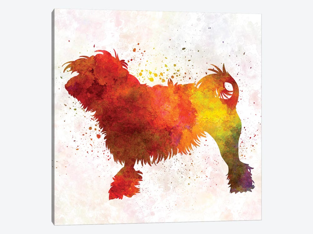 Little Lion Dog In Watercolor by Paul Rommer 1-piece Canvas Artwork