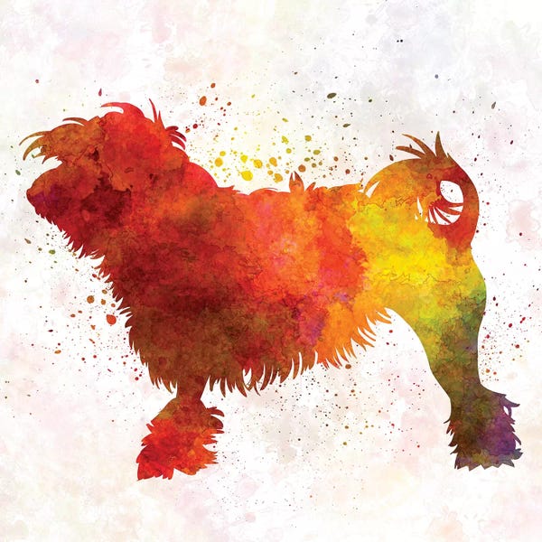 Little Lion Dog In Watercolor