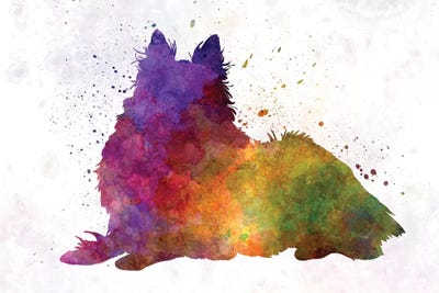 Long Haired Collie In Watercolor by Paul Rommer framed wall art