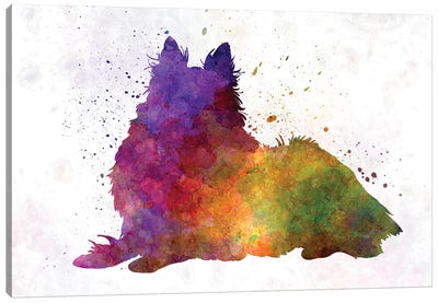 Long Haired Collie In Watercolor Canvas Art Print - Collie Art