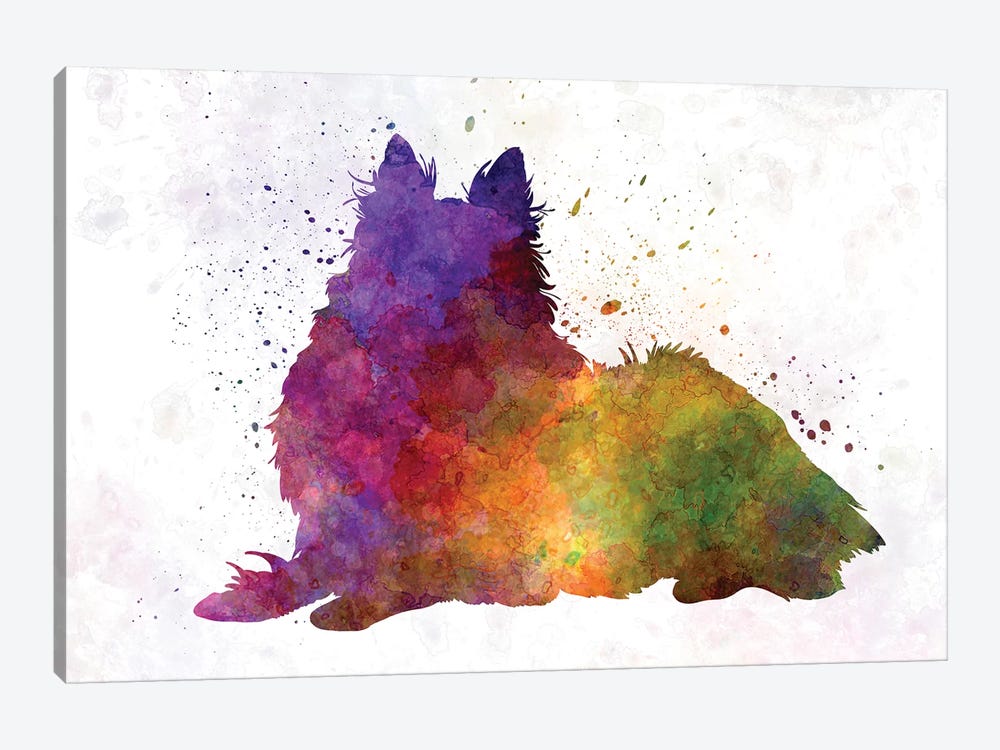 Long Haired Collie In Watercolor by Paul Rommer 1-piece Art Print