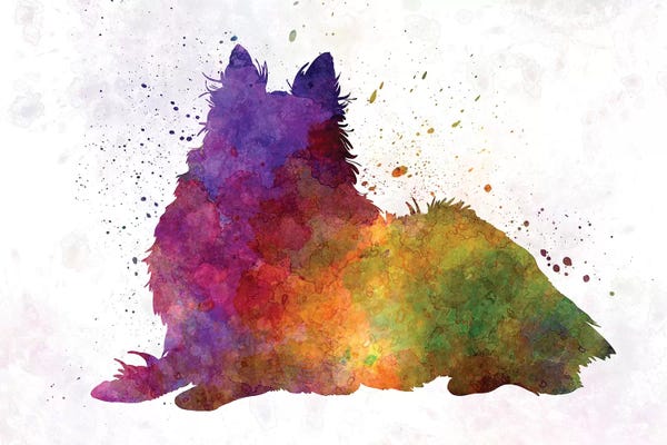 Collies: Long Haired Collie In Watercolor by Paul Rommer