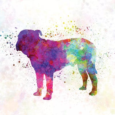 Majorca Mastiff In Watercolor by Paul Rommer framed wall art