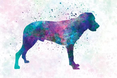 Majorca Shepherd Dog In Watercolor by Paul Rommer canvas print