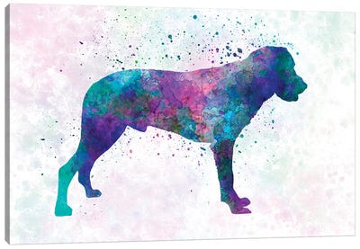 Majorca Shepherd Dog In Watercolor Canvas Art Print