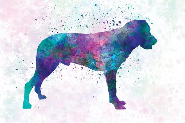 Shepherds (Herding Dogs): Majorca Shepherd Dog In Watercolor by Paul Rommer