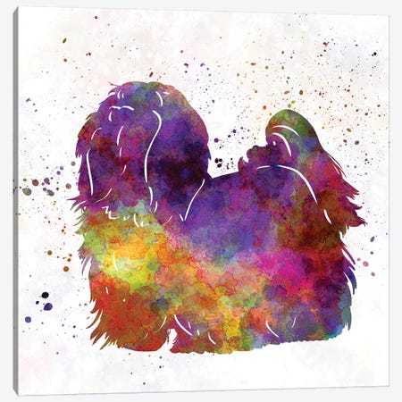 Maltese In Watercolor Canvas Print #PUR442} by Paul Rommer Canvas Wall Art