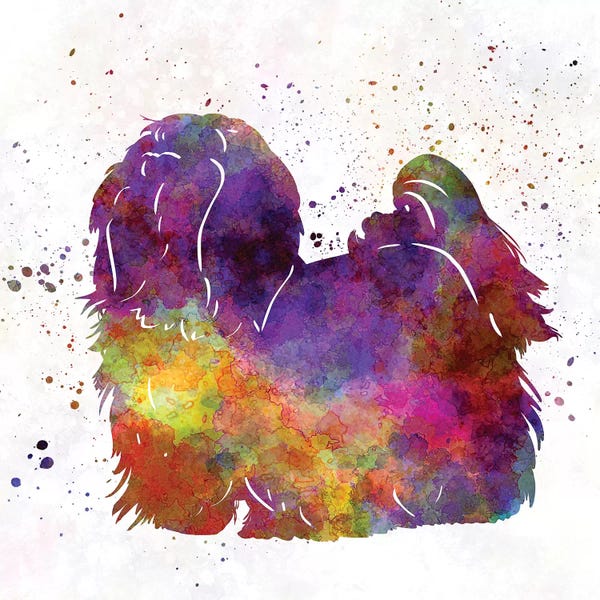 Paul Rommer: Maltese In Watercolor by Paul Rommer