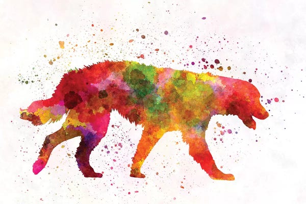 Maremma Abruzzes Sheepdog In Watercolor