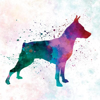 Miniature Pinscher In Watercolor by Paul Rommer framed wall art